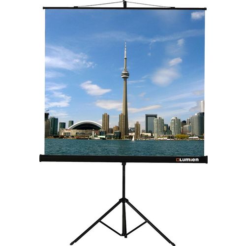 Экран Lumien Eco View LEV-100110, 171х128 см, 4:3, напольный