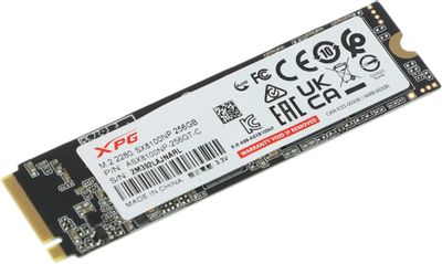 Xpg 256gb ssd hot sale