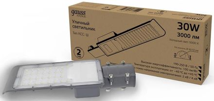 Светильник консольный GAUSS 629534330, 629534330, черный