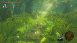 Дополнение к игре Nintendo The Legend of Zelda: Breath of the Wild, для Nintendo Switch 2, регион: Европа