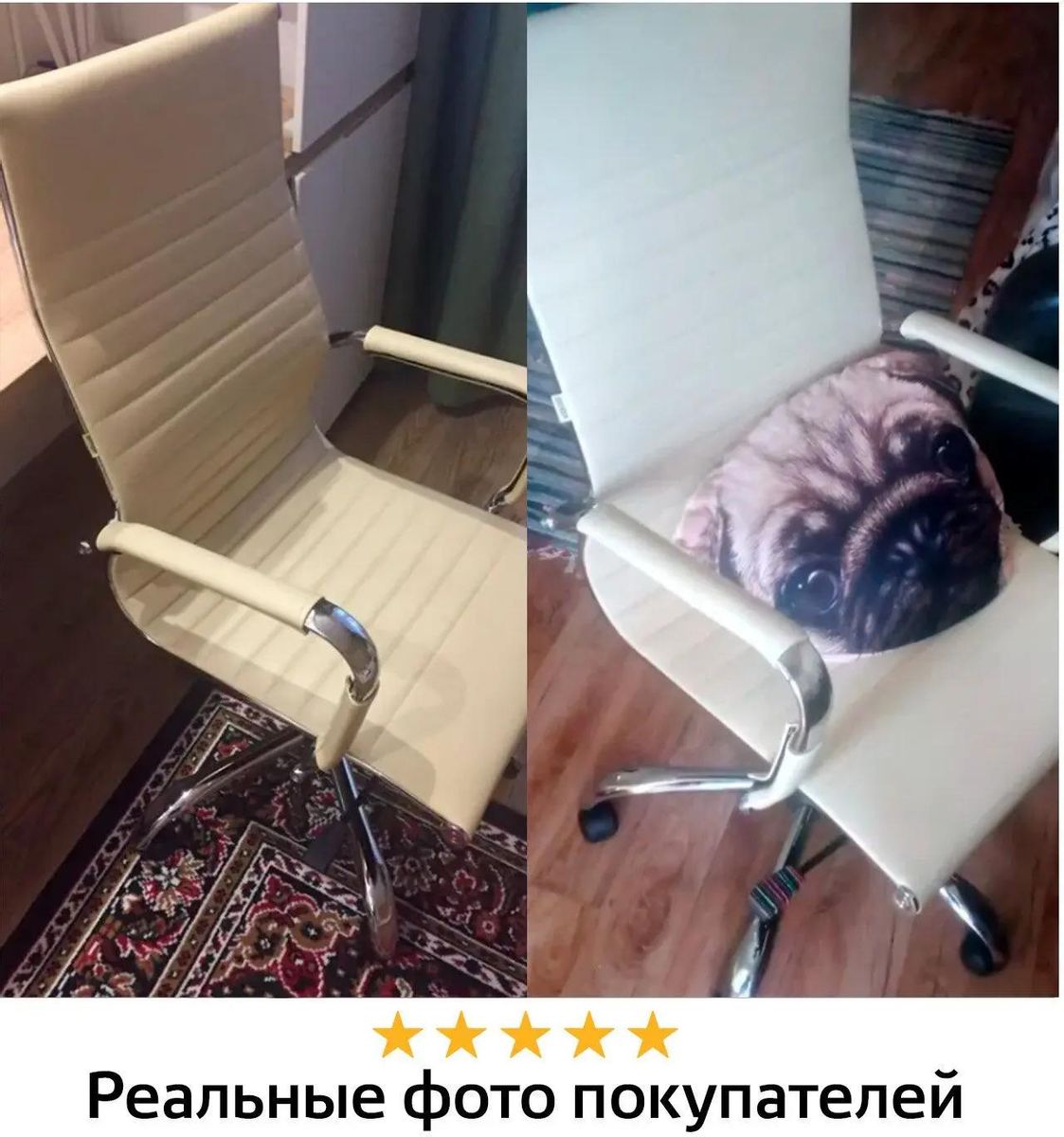 Structube shop spencer chair