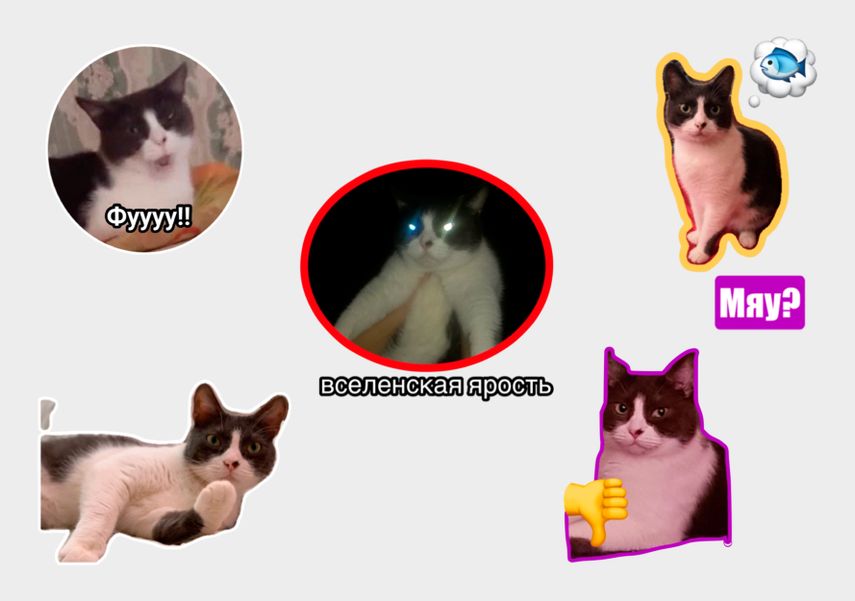 Кота с фиолетовым контуром обвели вручную, для остальных стикеров использовали рамки и автовыделение