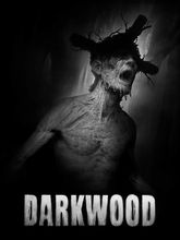 Изображение товара Игра HOODED HORSE Darkwood для ПК с русской локализацией