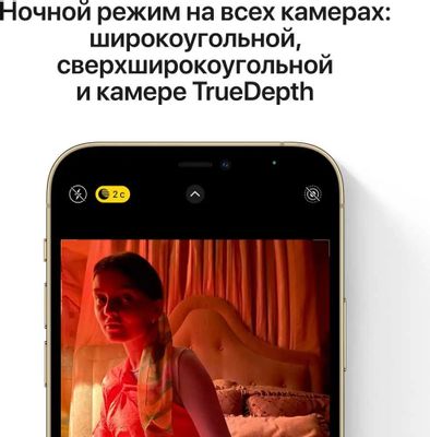 Характеристики Смартфон Apple iPhone 12 Pro 256Gb, MGMP3RU/A ...