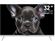 Изображение товара 32" Телевизор TOPDEVICE TDTV32CS08H HD, белый, СМАРТ ТВ, Салют ТВ