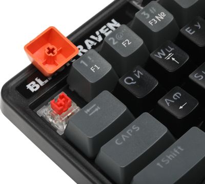 Клавиатура Defender Black Raven GK-417, USB, черный [45414] – купить в ...