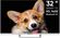 Изображение товара 32" Телевизор TOPDEVICE TDTV32CS03H HD, белый, СМАРТ ТВ, YaOS