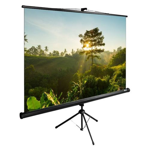 Экран Cactus CS-PSTE-200X200-BK 1:1 напольный рулонный