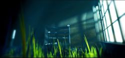 Игра AMAURY HYDE Acanthoceras, для  ПК,  регион: Россия,СНГ