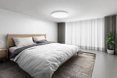 Ceiling Xiaomi Mi Smart LED Ceiling Light