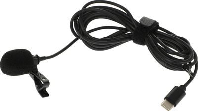 Микрофон Ritmix RCM-210, черный [80001125] – купить в Ситилинк | 1712831