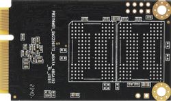 256ГБ SSD накопитель NETAC N5M mSATA