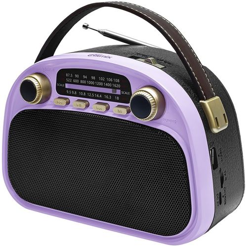 Радиоприемник Ritmix RPR-040, фиолетовый