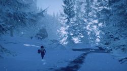 Игра PID GAMES Skabma - Snowfall, для ПК, регион: Россия,СНГ