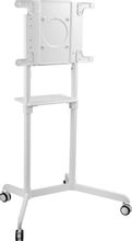 Изображение товара Стойка для телевизора Cactus CS-ST1146WT 37-70 дюймов напольная мобильная белая