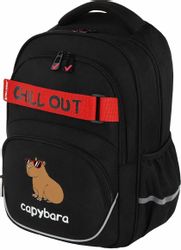 Рюкзак с ортопедической спинкой BRAUBERG Motion 272032 Calm capy