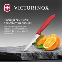 Нож кухонный Victorinox Swiss Classic 6.7731.C1, универсальный, для овощей, 100мм, заточка серрейтор, стальной, красный