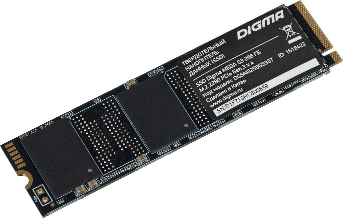 SSD накопитель Digma Mega S3 DGSM3256GS33T 256ГБ