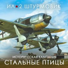 Изображение товара Дополнение 1C GAME STUDIOS Стальные птицы для ПК - Симулятор боевых действий