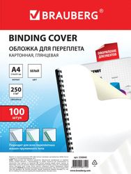 Обложка BRAUBERG 530840, A4, 250г/м2, 100, белый