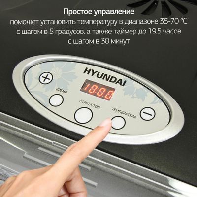 Сушил д грибов и фруктов (500*300*400) для газ/плиты (10/1) Агроснаб