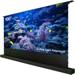 Экран Cactus FloorRising CS-PSFRCLR-221X125 черный