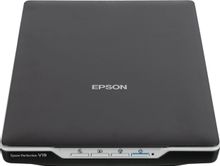 Сканер Epson Perfection V19