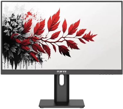 Обзор товара 27" Монитор RDW COMPUTERS RDW2701K, "R", 2560x1440, IPS ...