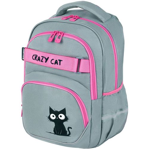Рюкзак с ортопедической спинкой BRAUBERG Motion 273115 Crazy cat