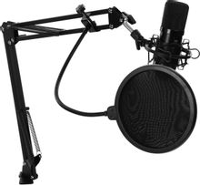 Микрофон Ritmix RDM-169,  черный