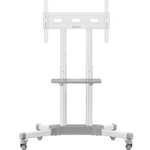 Изображение товара Стойка для телевизора ONKRON TS1351, 32-65", напольный, мобильный, белый Изображение товара Стойка для телевизора ONKRON TS1351, 32-65", напольный, мобильный, белый