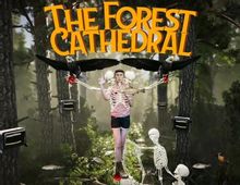 Изображение товара Игра WHITETHORN DIGITAL The Forest Cathedral, для  ПК,  регион: Россия,СНГ,  английская версия