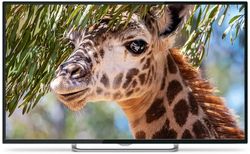 Изображение товара 55" Телевизор POLARLINE 55PU11TC-SM 4K Ultra HD, СМАРТ ТВ, Android, черный Изображение товара 55" Телевизор POLARLINE 55PU11TC-SM 4K Ultra HD, СМАРТ ТВ, Android, черный