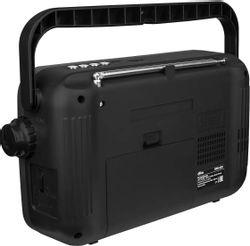 Радиоприемник Ritmix RPR-320