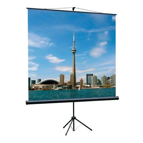 Экран Lumien Eco View LEV-100102, 180х180 см, 1:1, напольный