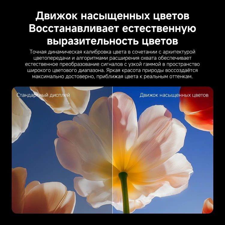 85" Телевизор Xiaomi TV S Mini LED 2026 9