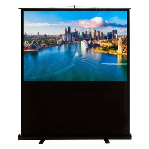 Экран Cactus FloorCompactExpert CS-PSFLCE-160X120, 160х120 см, 4:3, напольный