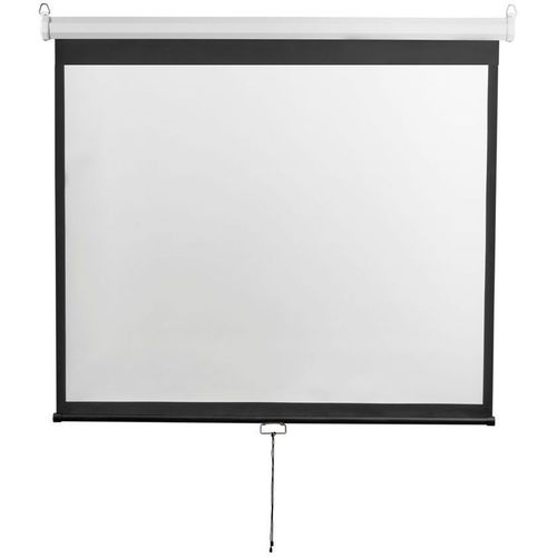 Экран DIGIS Optimal-D DSOD-4306, 308х229 см, 4:3, настенно-потолочный