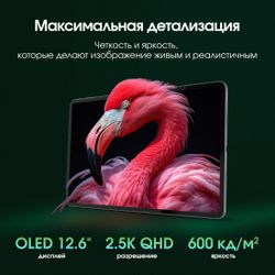 12.6" Планшет DIGMA PRO Evolution 8/256 GB G99 4G, 2560 x 1600, Android 15, серебристый [ta3e2m03](Б/У)