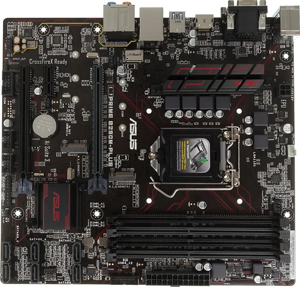 Asus b250m plus deals