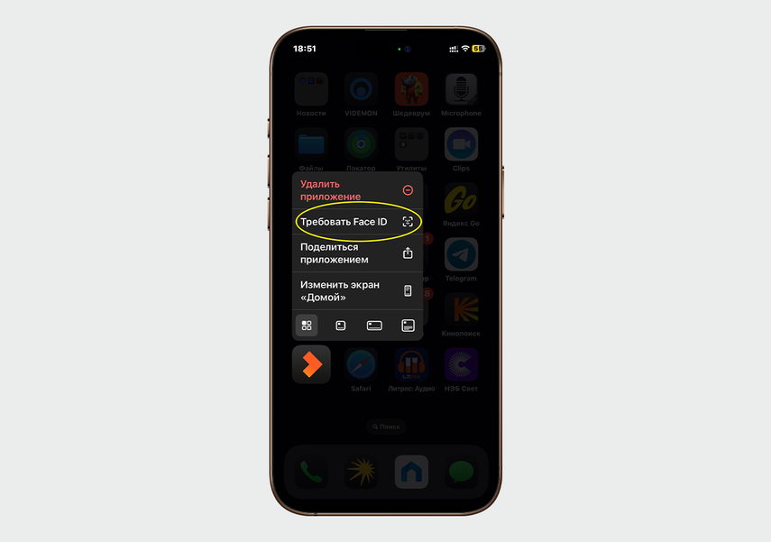 Любое приложение теперь может запускаться по Face ID
