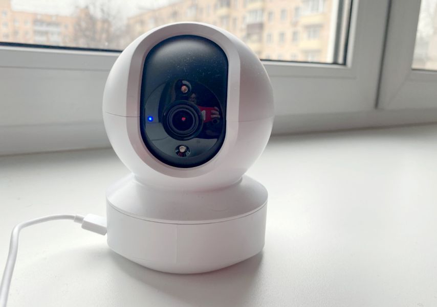 Как камера помогла мне научить собаку оставаться одной дома — Журнал ...