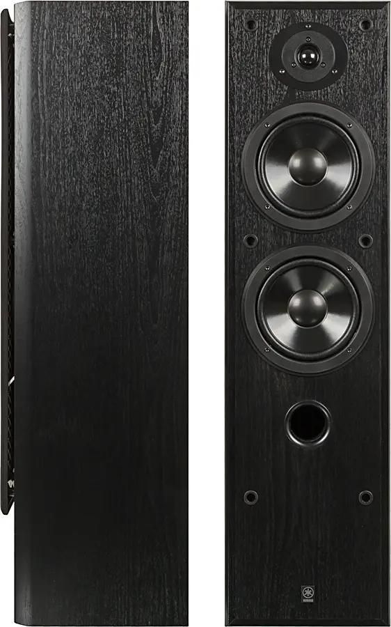 Yamaha NS 50F 2