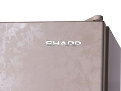 Холодильник двухкамерный Sharp SJ-492IHXJ42R