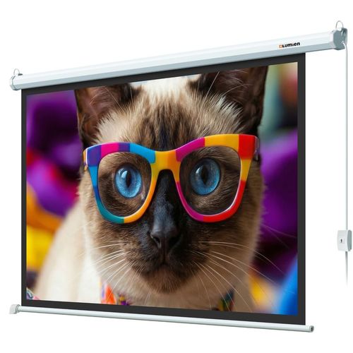 Экран Lumien Eco Control LEC-100118, 192х137 см, 16:9, настенно-потолочный белый