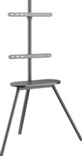 Изображение товара Подставка для телевизора Cactus CS-ST2844GY, 43-65", напольный, темно-серый