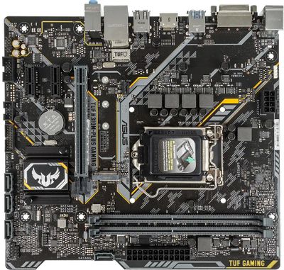 Asus h310m plus gaming online