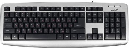 Клавиатура Genius KB110X,  PS/2, серебристый + черный [31300710105]