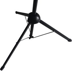 Экран Cactus X-type CS-PSTX-100x177 черный