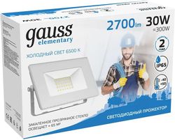Прожектор уличный GAUSS Elementary, 30Вт